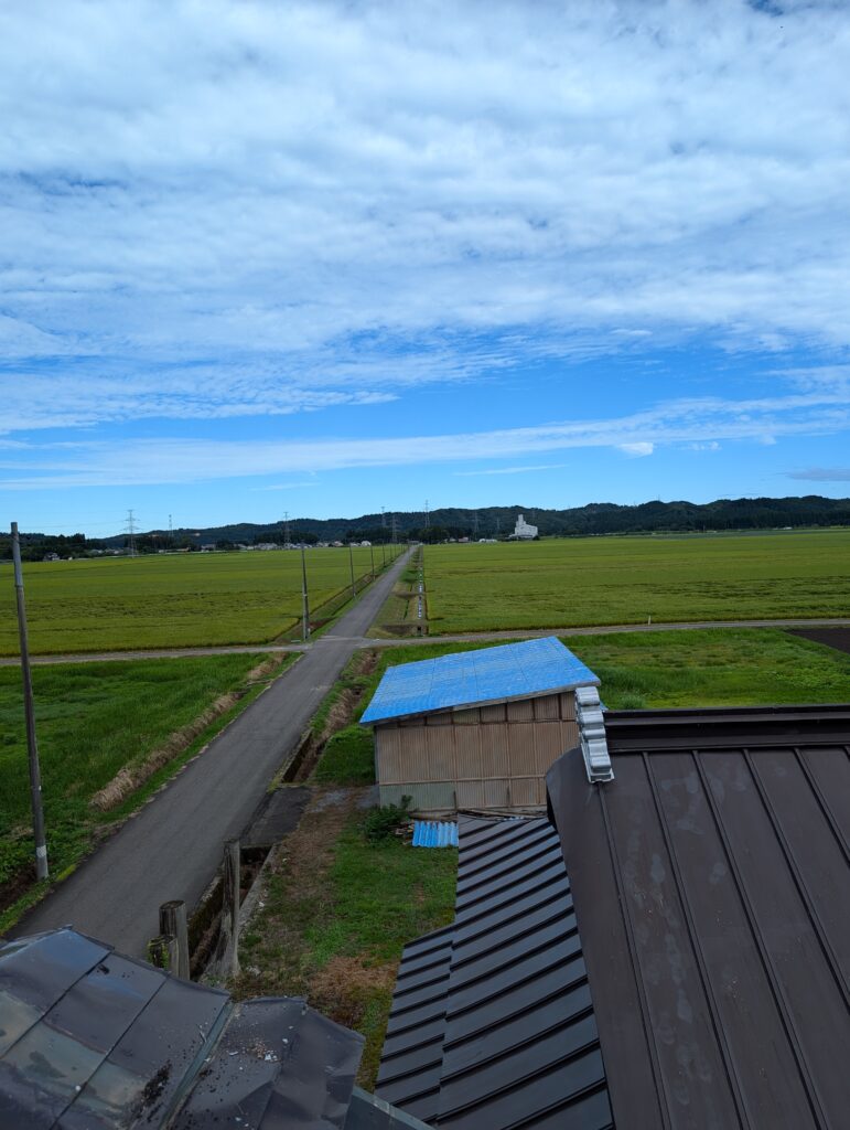 屋根の上から