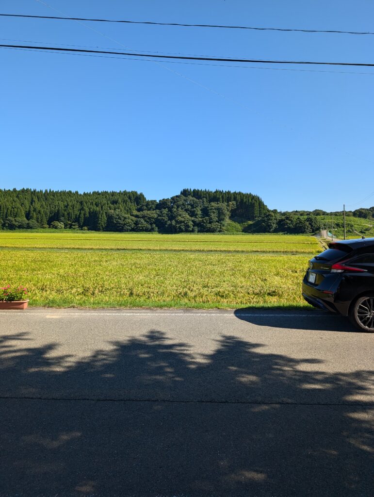 前面に広がる田園風景